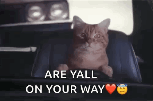 A Cat Is Sitting In The Back Seat Of A Car With The Words `` Are Yall On Your Way '' Written Above It . GIF