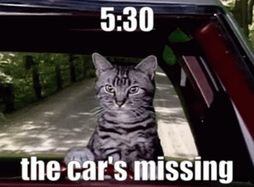 A Cat Is Sitting In The Driver 'S Seat Of A Car With A Caption That Says The Car 'S Missing . GIF
