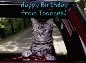 A Cat Is Sitting In The Driver 'S Seat Of A Car With The Words Happy Birthday From Tooonces Written Above It GIF