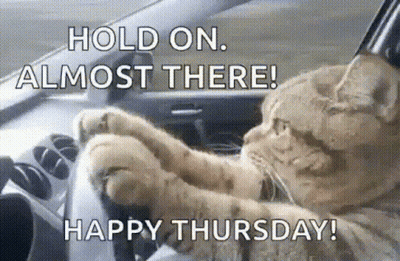 A Cat Is Sitting In The Driver 'S Seat Of A Car With The Words Hold On Almost There Happy Thursday . GIF