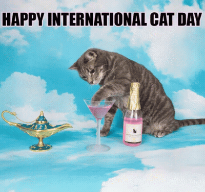 A Cat Is Sitting Next To A Bottle Of Champagne And A Martini Glass With The Words Happy International Cat Day Above It GIF