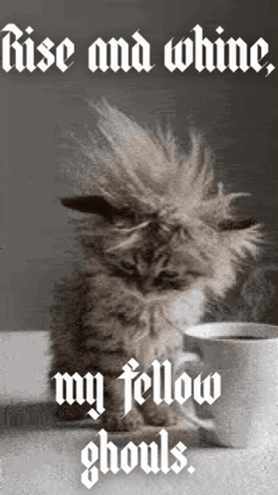 A Cat Is Sitting Next To A Cup Of Coffee With The Words Rise And Whine My Fellow Ghouls Above It GIF