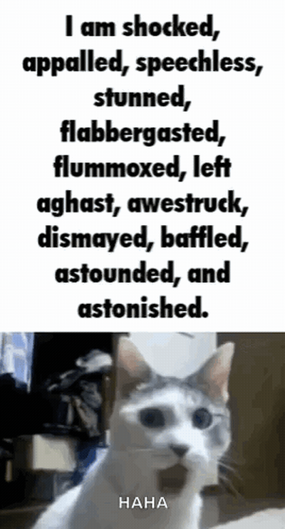 A Cat Is Sitting Next To A Text That Says I Am Shocked Appalled Speechless Stunned GIF
