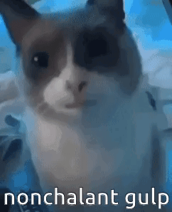 A Cat Is Sitting On A Bed And Looking At The Camera With The Words Nonchalant Gulp Written Next To It . GIF