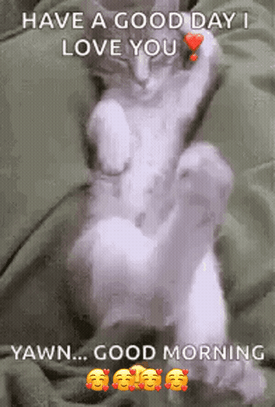 A Cat Is Sitting On A Bed With A Heart On Its Paw And Says `` Have A Good Day I Love You '' . GIF