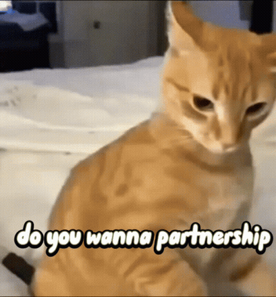 A Cat Is Sitting On A Bed With The Words Do You Wanna Partnership Written Above It GIF