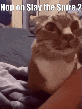 A Cat Is Sitting On A Bed With The Words Hop On Slay The Spire 2 Above It GIF
