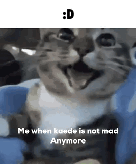 A Cat Is Sitting On A Blue Blanket And Smiling . GIF
