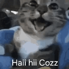 A Cat Is Sitting On A Blue Pillow With Its Mouth Open And Says Haii Hii Cozz . GIF