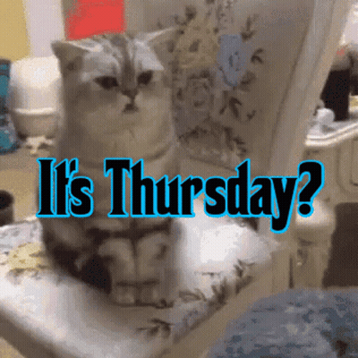 A Cat Is Sitting On A Chair With The Words It 'S Thursday GIF