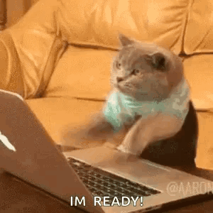 A Cat Is Sitting On A Couch In Front Of A Laptop Computer And Says `` I 'M Ready '' . GIF