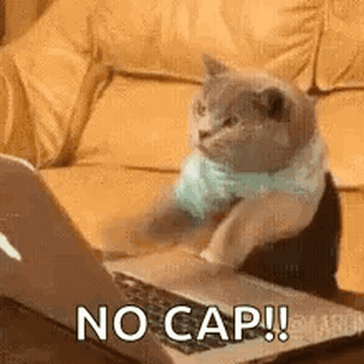A Cat Is Sitting On A Couch Looking At A Laptop . GIF