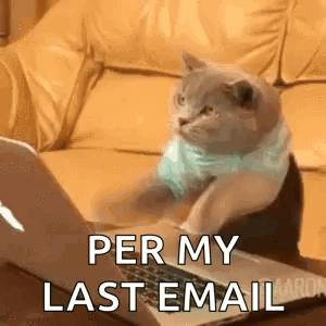 A Cat Is Sitting On A Couch Looking At A Laptop . GIF