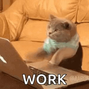 A Cat Is Sitting On A Couch Next To A Laptop Computer . GIF