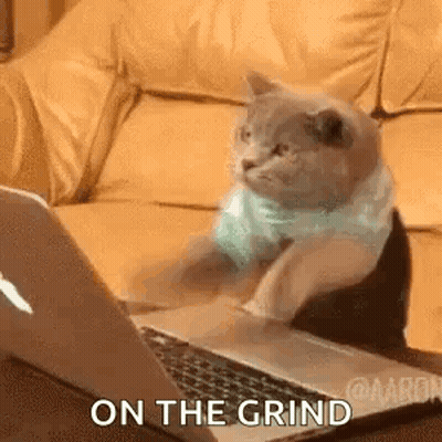 A Cat Is Sitting On A Couch Using A Laptop . GIF