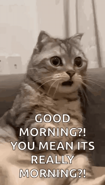 A Cat Is Sitting On A Couch With Its Mouth Open And Says `` Good Morning ? You Mean It 'S Really Morning ? GIF