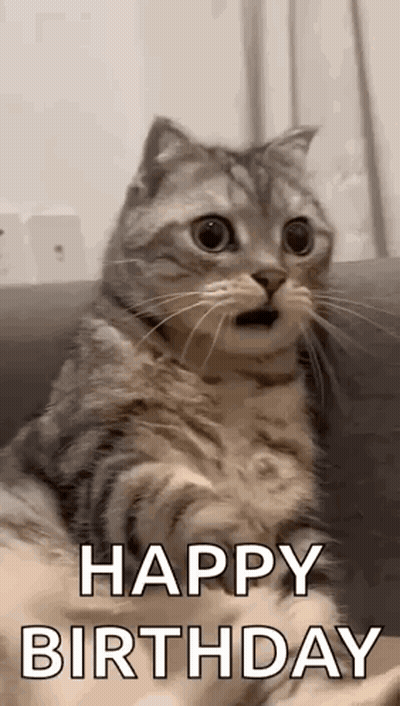 A Cat Is Sitting On A Couch With Its Mouth Open And Says `` Happy Birthday '' . GIF