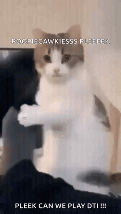 A Cat Is Sitting On A Couch With Its Paws Up And A Caption That Says Pleek Can We Play Dti !!! GIF