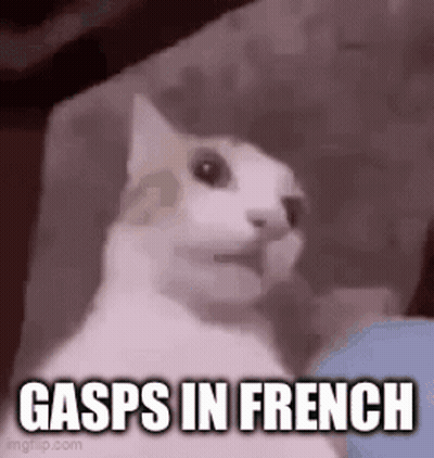 A Cat Is Sitting On A Couch With The Words Gasps In French . GIF