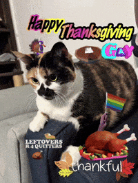 A Cat Is Sitting On A Couch With The Words Happy Thanksgiving Gay Written On The Top GIF