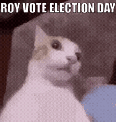 A Cat Is Sitting On A Couch With The Words `` Roy Vote Election Day '' Above It . GIF