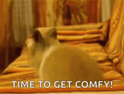 A Cat Is Sitting On A Couch With The Words `` Time To Get Comfy '' Written On The Bottom . GIF