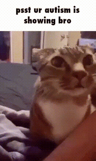 A Cat Is Sitting On A Person 'S Lap And The Caption Says Psst Ur Autism Is Showing Bro . GIF