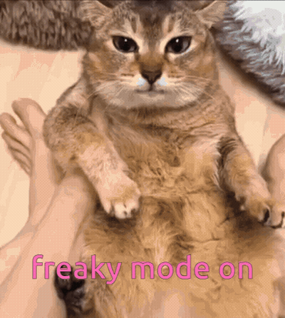 A Cat Is Sitting On A Person 'S Lap With The Words Freaky Mode On Written On The Bottom GIF