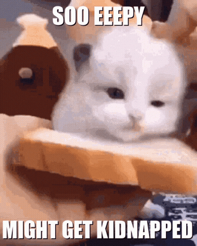 A Cat Is Sitting On A Piece Of Bread With The Words Soo Eepy Might Get Kidnapped Below It GIF