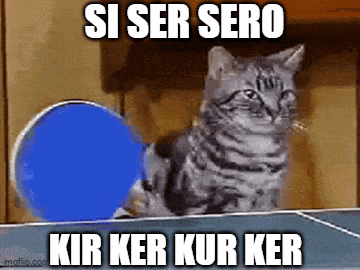 A Cat Is Sitting On A Ping Pong Table With A Blue Ball And The Words Si Ser Sero Kir Ker Kur Ker Below It GIF