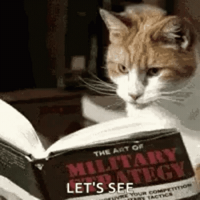 A Cat Is Sitting On A Table Reading A Book Titled The Art Of Military Strategy . GIF