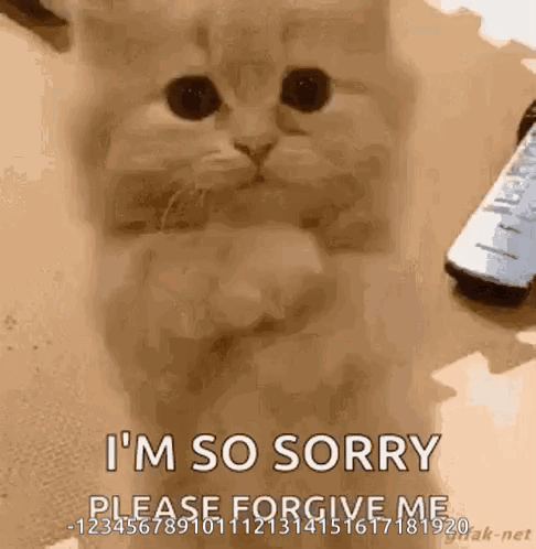 A Cat Is Sitting On A Table With A Remote Control In The Background And Says I 'M So Sorry . GIF