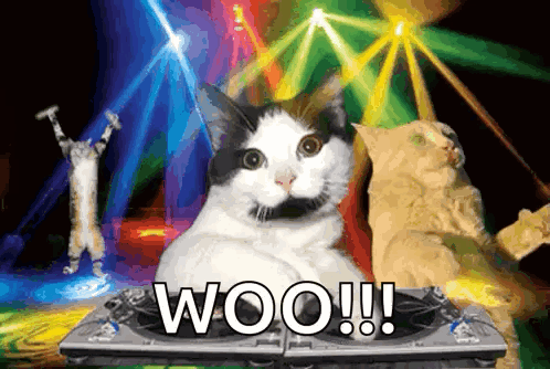 A Cat Is Sitting On A Turntable With The Word Woo Written On It GIF