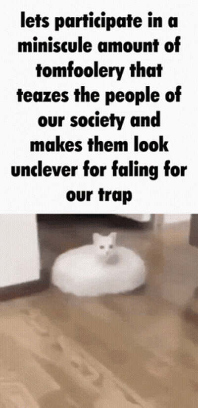 A Cat Is Sitting On A White Ottoman On A Wood Floor . GIF