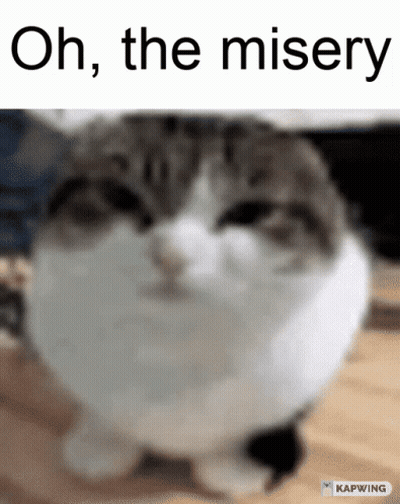 A Cat Is Sitting On A Wooden Table With The Words Oh The Misery Above It GIF