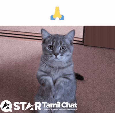A Cat Is Sitting On Its Hind Legs In Front Of A Star Tamil Chat Sign GIF