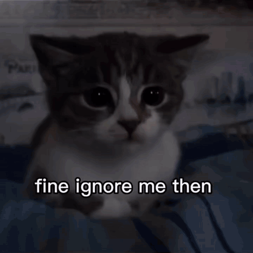 A Cat Is Sitting On The Beach With The Words Fine Ignore Me Then Written On The Bottom GIF