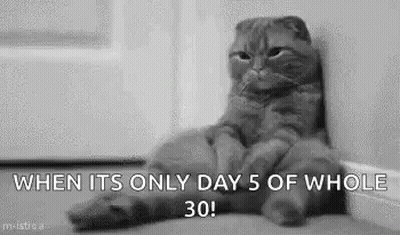 A Cat Is Sitting On The Floor Next To A Wall With The Words `` When It 'S Only Day 5 Of Whole 30 ! '' GIF