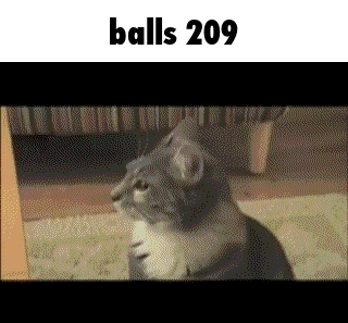 A Cat Is Sitting On The Floor With The Words Balls 209 Written Above It GIF