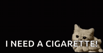 A Cat Is Sitting On Top Of A Cloud Of Smoke And Says `` I Need A Cigarette ! '' GIF