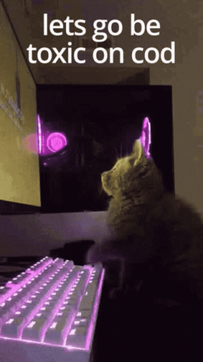 A Cat Is Sitting On Top Of A Computer Keyboard . GIF