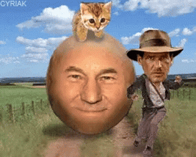 A Cat Is Sitting On Top Of A Man 'S Head While A Man In A Hat Is Running Behind It GIF