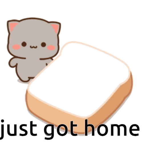 A Cat Is Sitting On Top Of A Piece Of Bread With The Words Just Got Home Written Below It GIF