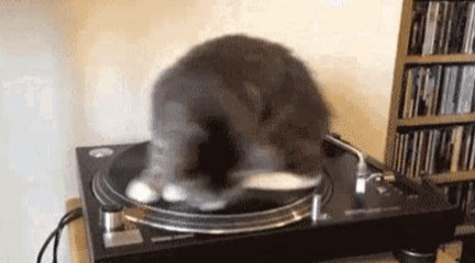 A Cat Is Sitting On Top Of A Record Player . GIF