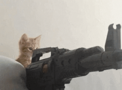 A Cat Is Sitting On Top Of A Toy Gun . GIF