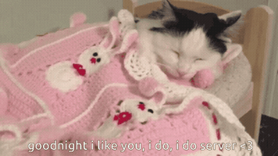 A Cat Is Sleeping In A Bed With A Pink Blanket And The Words Goodnight I Like You I Do I Do Server GIF