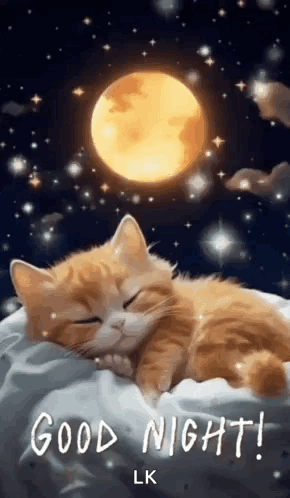 A Cat Is Sleeping On A Bed With The Moon In The Background . GIF