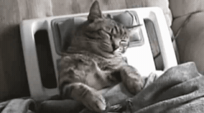 A Cat Is Sleeping On A Couch Next To A Massage Machine . GIF