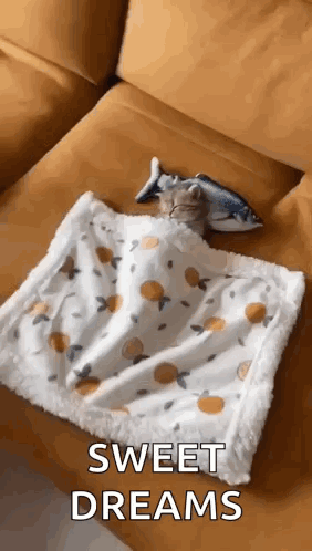A Cat Is Sleeping On A Couch With A Blanket And A Fish Toy . GIF