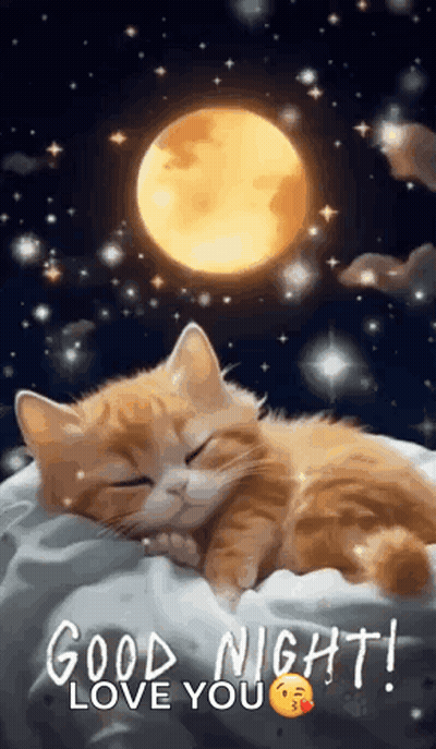 A Cat Is Sleeping On A Pillow In Front Of A Full Moon And Stars . GIF
